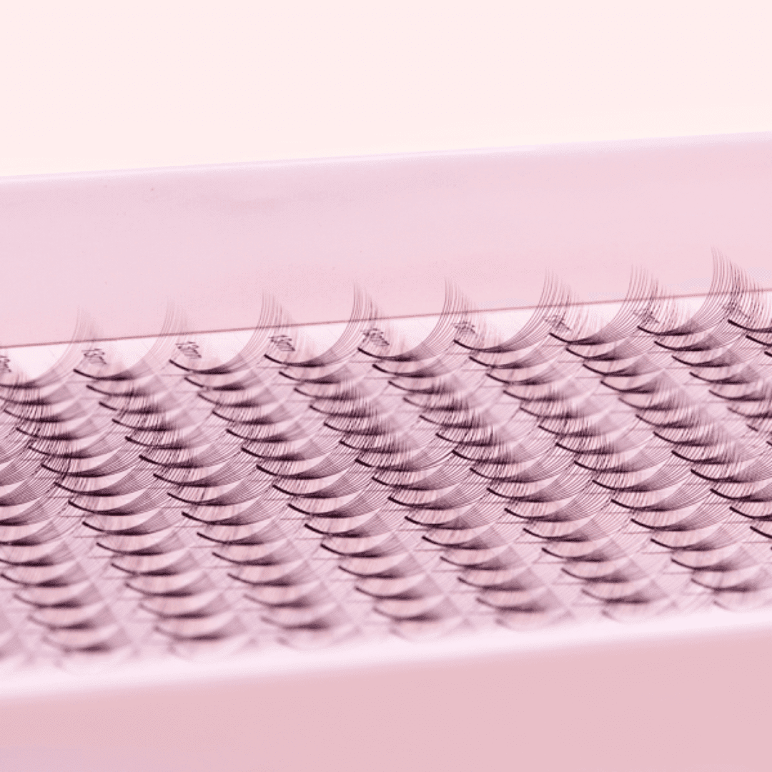10D Premium Promade XL 400 Premade Volume Fans - Giali Lashes
