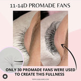 Giáli Lashes 11D-14D Handmade Loose Pro-Made Mega Volume Fans 0.03 - Giali Lashes