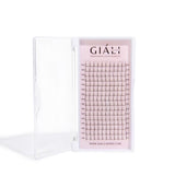 Giáli Lashes 4D Long Stem Premade Volume Fans Lash Tray