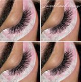 Giali Lashes XL Russian Volume Lash Trays - Giali Lashes