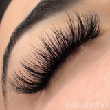 1 Day Wispy Eyelash Extension Workshop Couse In Person Class With Amanda - Giali Lashes