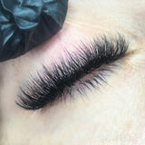 1 Day Wispy Eyelash Extension Workshop Couse In Person Class With Amanda - Giali Lashes