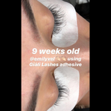 Giáli Lashes Pro Adhesive - Professional Eyelash Extension Glue