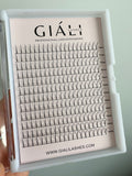 Promade Spike Fans 240 Fans - Giali Lashes 