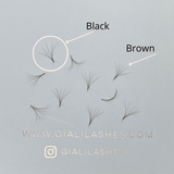 Giáli Lashes 6D Blue Coloured Handmade Promade Loose Fans-Giali Lashes
