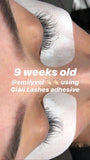 Giáli Lashes Pro Adhesive - Professional Eyelash Extension Glue 5ml-Giali Lashes