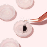 Volume Fan Blossom Adhesive Cups-Giali Lashes